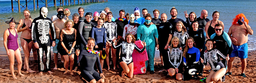 Swimming the distance for seals! Devon woman swims 113 miles over a year to raise money for the Cornish Seal Sanctuary