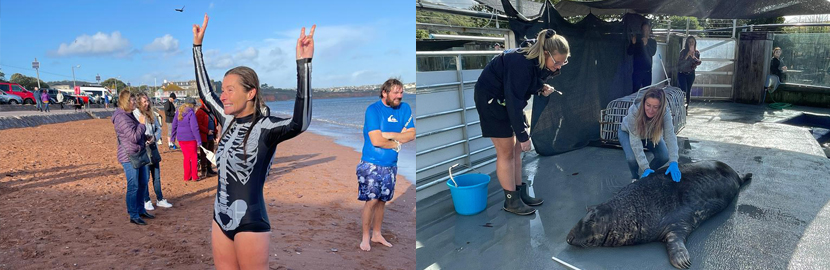 Swimming the distance for seals! Devon woman swims 113 miles over a year to raise money for the Cornish Seal Sanctuary