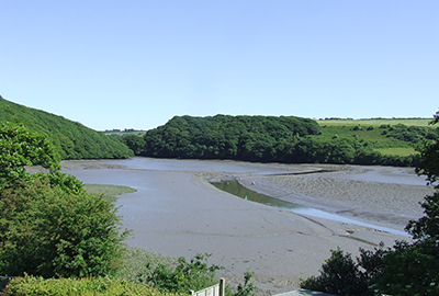 Protection of Local Habitats