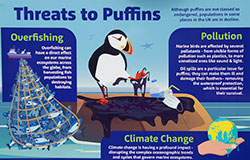 Puffin Island