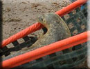 Pumpkin - Seal Release