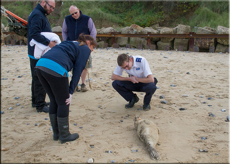 Hunstanton SEA LIFE Sanctuary
