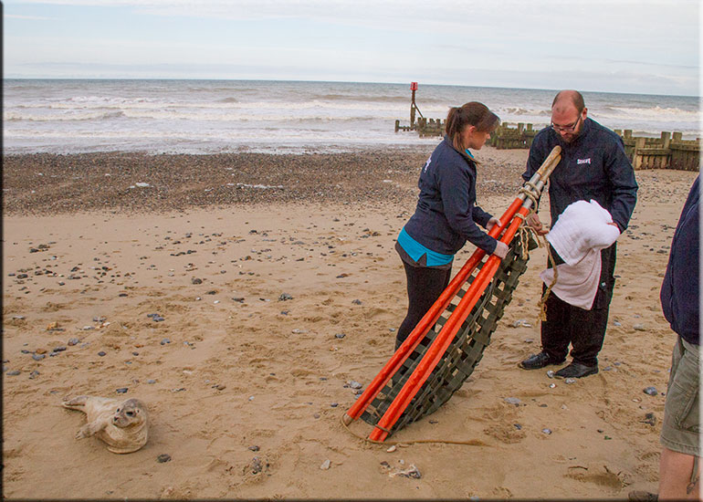 Hunstanton SEA LIFE Sanctuary
