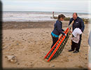 Rescued common seal pup - 15th October 2014
