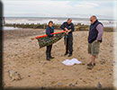 Rescued common seal pup - 15th October 2014