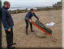 Rescued common seal pup - 15th October 2014