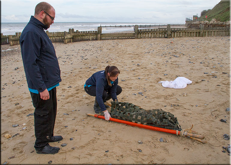 Hunstanton SEA LIFE Sanctuary