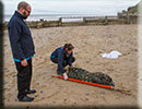 Rescued common seal pup - 15th October 2014