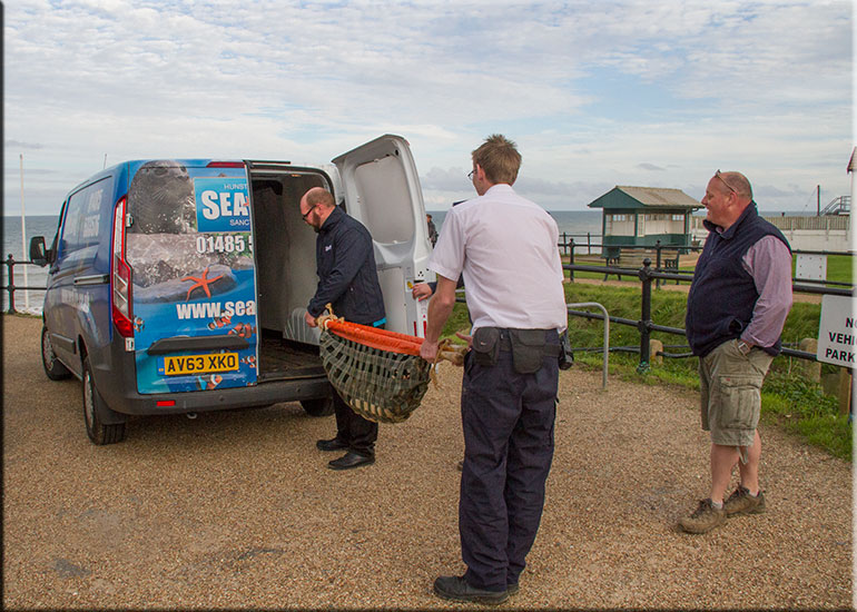 Hunstanton SEA LIFE Sanctuary
