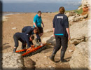 Daredevil - Rescued common seal pup - 22nd June 2013