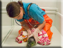 Daredevil - Rescued common seal pup - 22nd June 2013