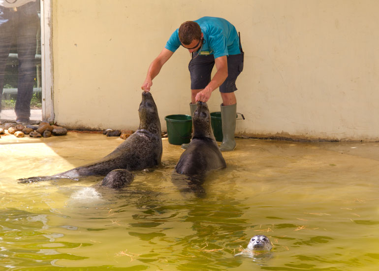 Sija and her pup