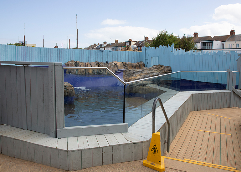 Seal Pups Recovery Pool