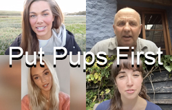 Put Pups First