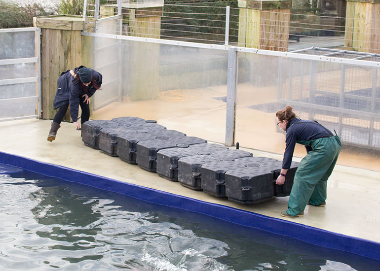 Kelly and Tamara putting together the pontoon for the grey seals