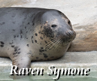 Raven Symone