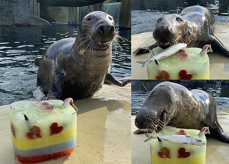 Happy 20th Birthday Ray
