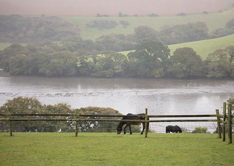 View from the paddock across the Helford Estuary
