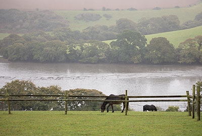 View across the Helford Estuary