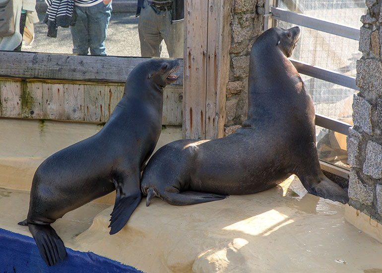 Andre and Sunny wanting their dinner