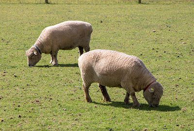 Florence (left) and Patrick (right)