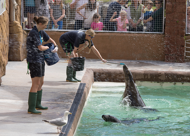 Natalie (left) and Megan (right) feeding the resident seals