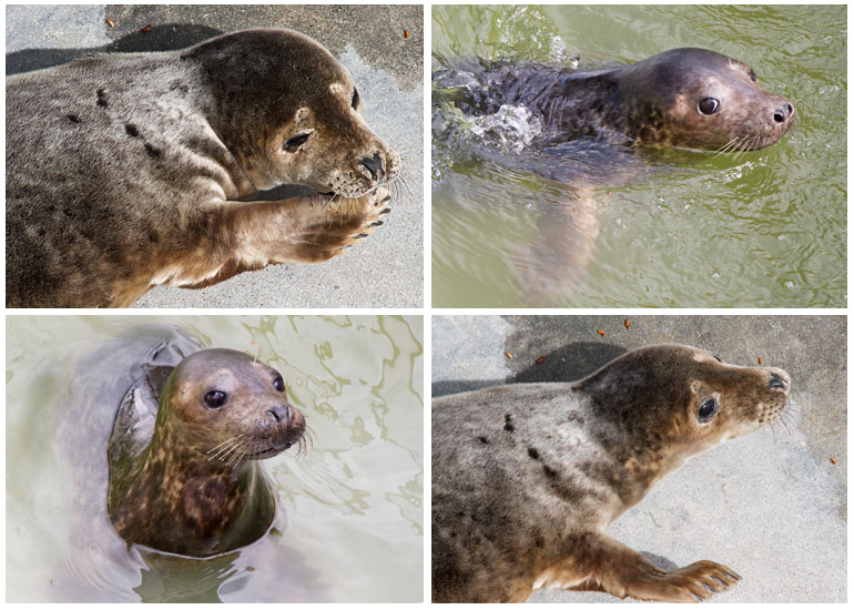 Photos of Schubert were taken on 27th April 2013