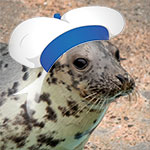 Sea Cadets Event