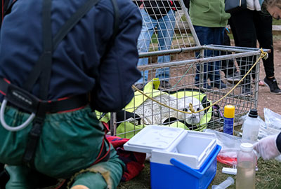 Seal rescue hospital relaunched with the help of Gillian Burke
