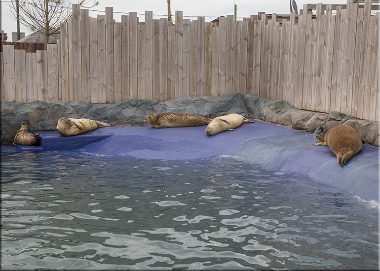 Seal Enclosure