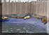 Seal Pool