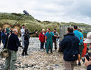 Seal Release - 2nd June  2014