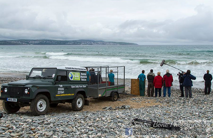 Seal Release - 2nd June 2014