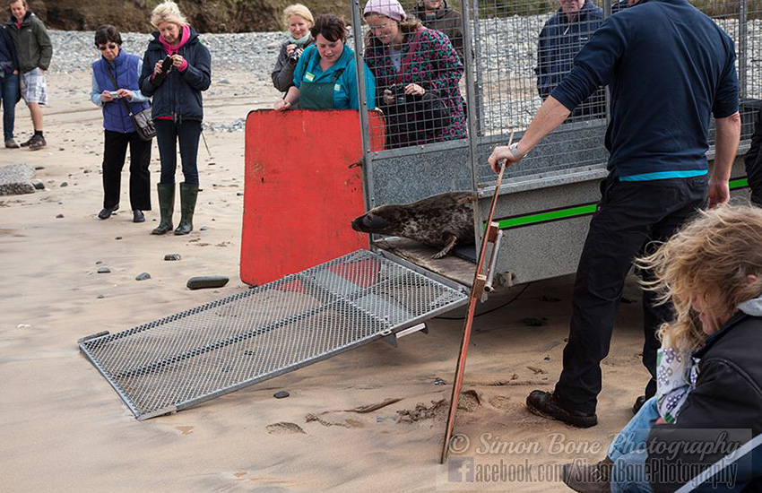 Seal Release - 6th May 2014