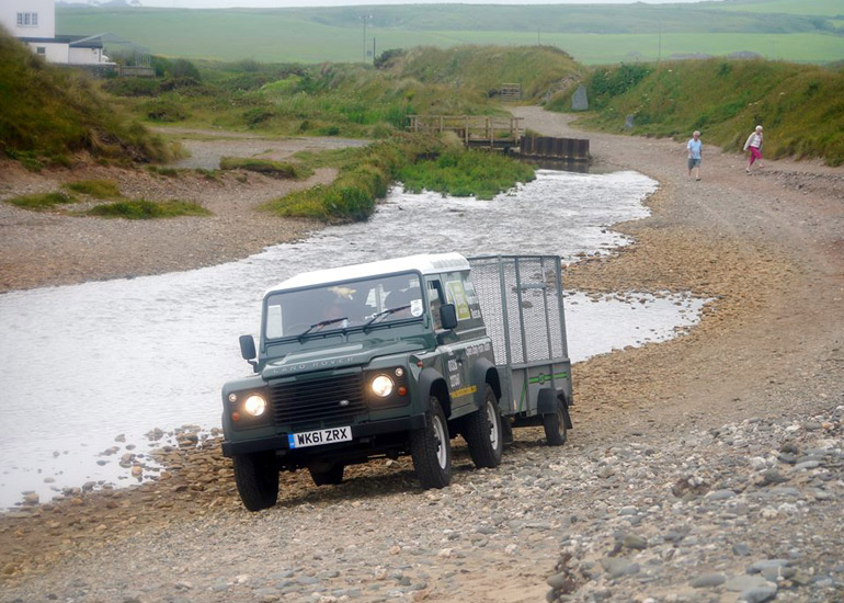 Seal Release - 18th June 2013