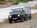 Seal Release - 18th June 2013