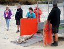Seal Release - 18th June 2013