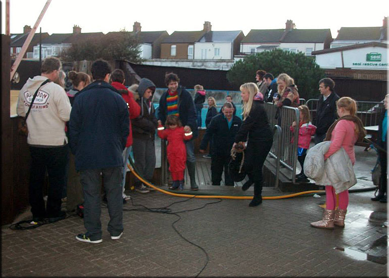 Seal Release - 20th October 2013