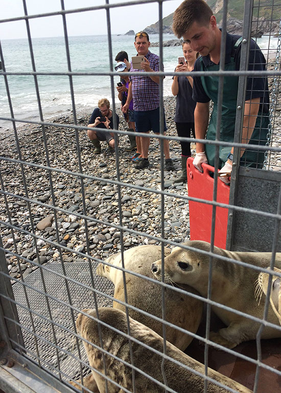 Seal Release - 25th May 2018