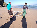 Seal Release - 28th June 2018