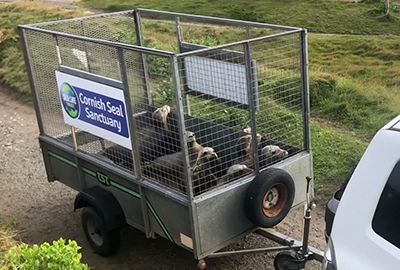 Seal Release - 26th May 2021