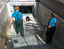 Seal Release - 26th June 2014