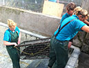 Seal Release - 26th June 2014
