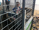 Seal Release - 26th June 2014