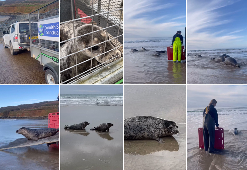 Seal Release - 27th February 2024