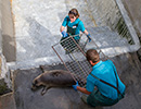 Seal Release - 28th May 2014