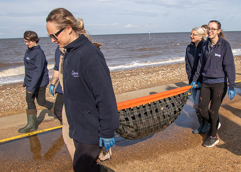 Rubicon and Nesquik - Common Seal pups - released on 3rd October 2023
