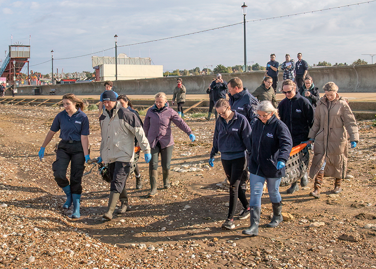 Rubicon and Nesquik - Common Seal pups - released on 3rd October 2023