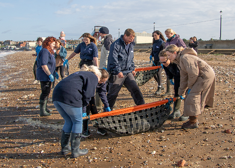 Rubicon and Nesquik - Common Seal pups - released on 3rd October 2023