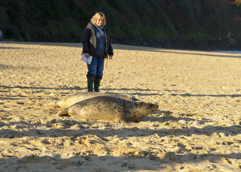 Seal Release - 9th January 2014
